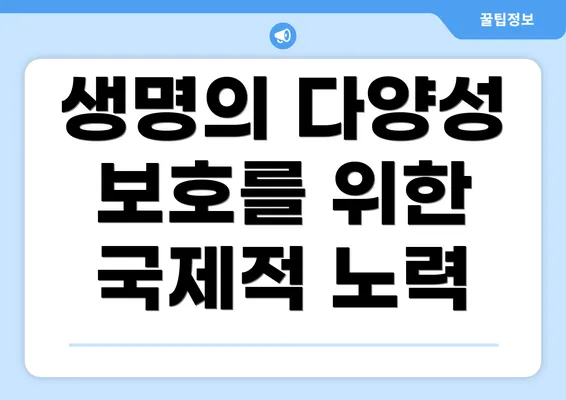 생명의 다양성 보호를 위한 국제적 노력