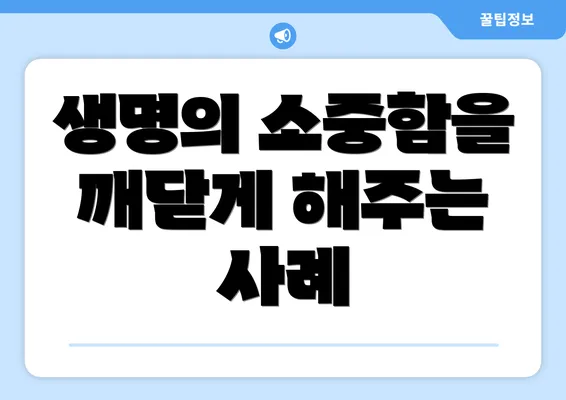 생명의 소중함을 깨닫게 해주는 사례