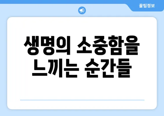 생명의 소중함을 느끼는 순간들