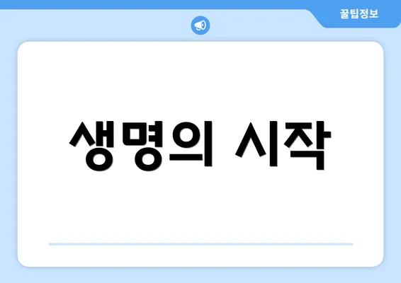생명의 시작
