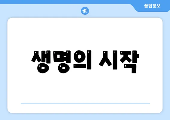 생명의 시작