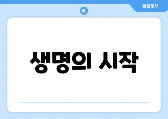 생명의 시작