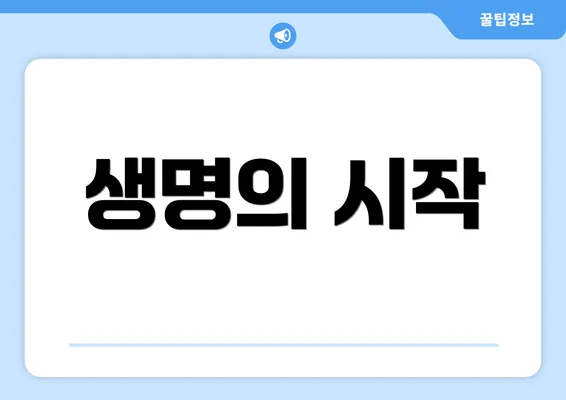 생명의 시작
