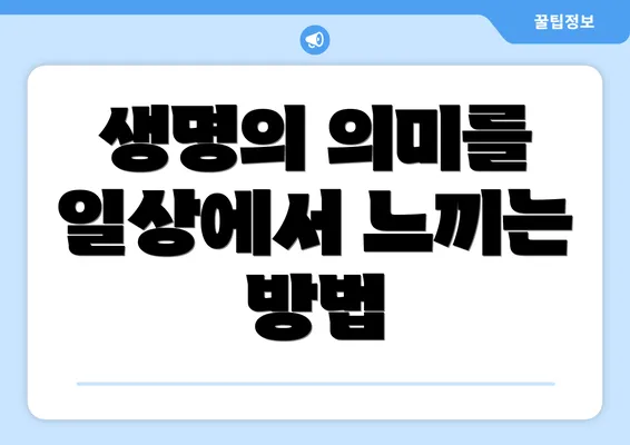 생명의 의미를 일상에서 느끼는 방법