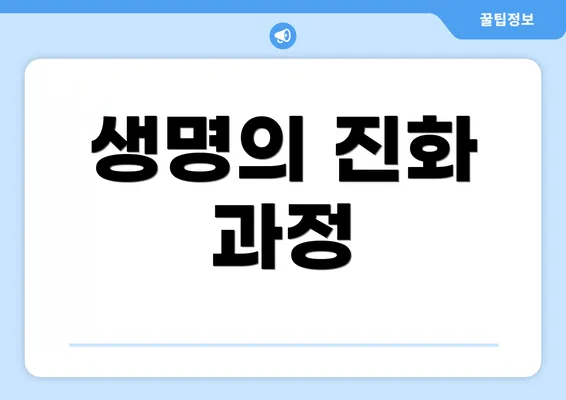 생명의 진화 과정
