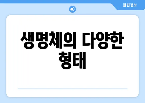 생명체의 다양한 형태