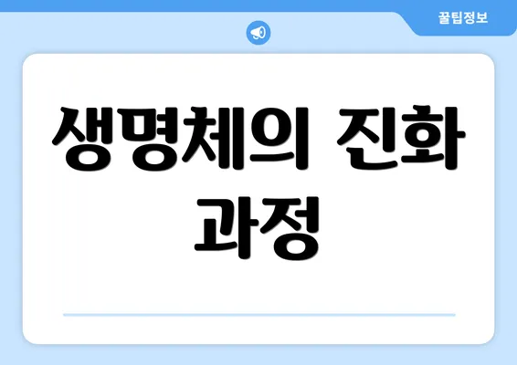 생명체의 진화 과정