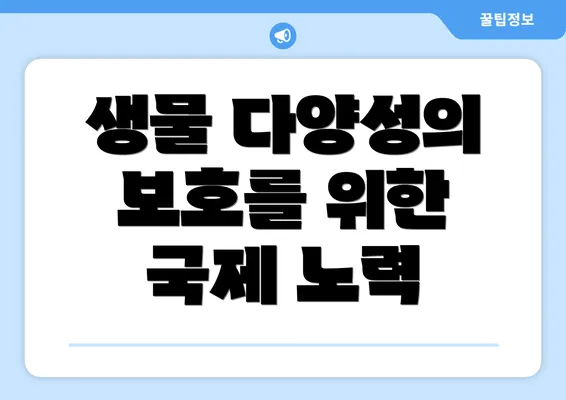생물 다양성의 보호를 위한 국제 노력