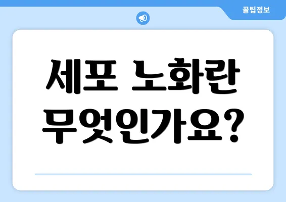 세포 노화란 무엇인가요?