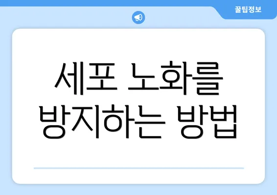 세포 노화를 방지하는 방법