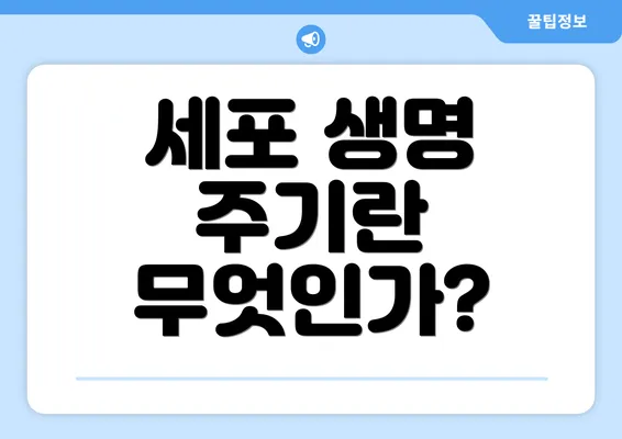 세포 생명 주기란 무엇인가?