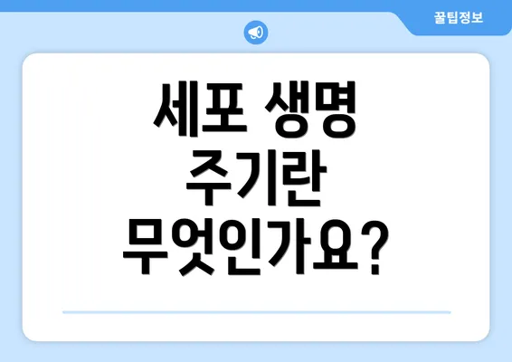 세포 생명 주기란 무엇인가요?