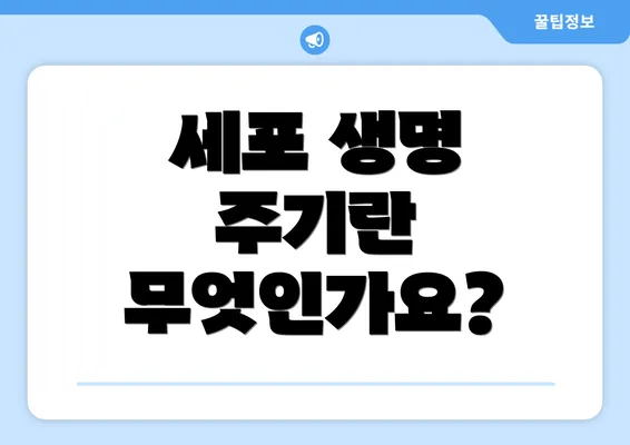세포 생명 주기란 무엇인가요?