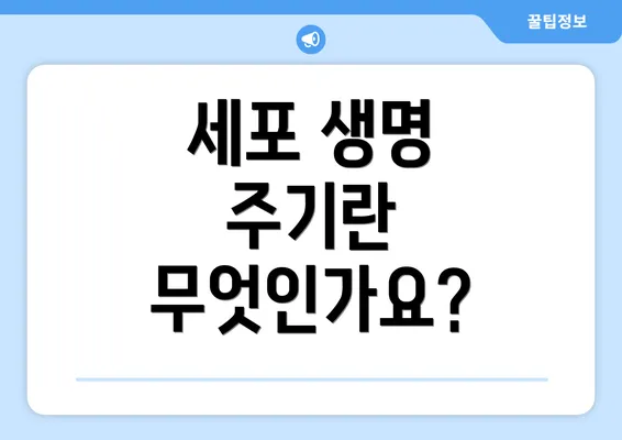 세포 생명 주기란 무엇인가요?