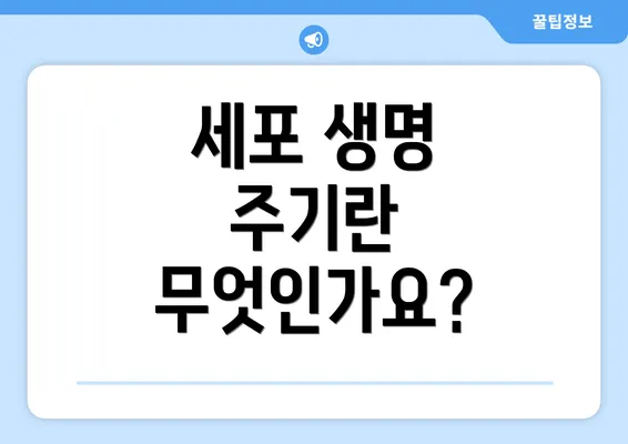 세포 생명 주기란 무엇인가요?