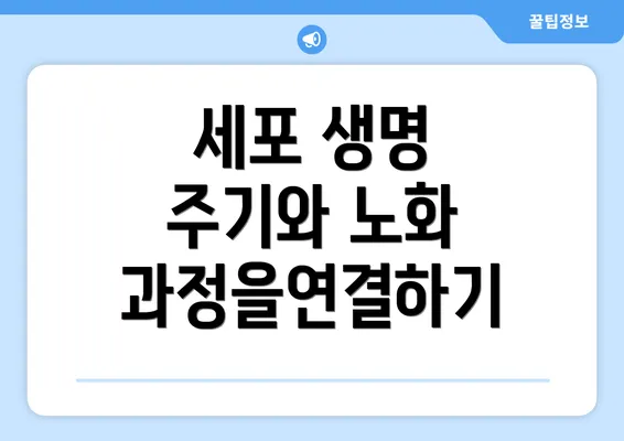 세포 생명 주기와 노화 과정을연결하기