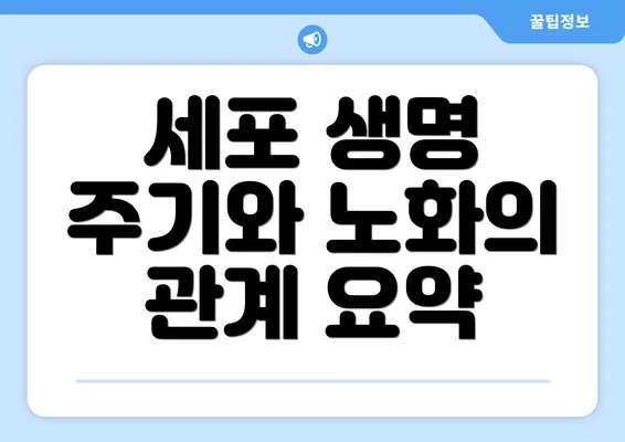 세포 생명 주기와 노화의 관계 요약