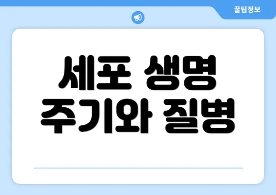 세포 생명 주기와 질병