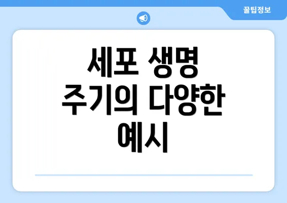 세포 생명 주기의 다양한 예시