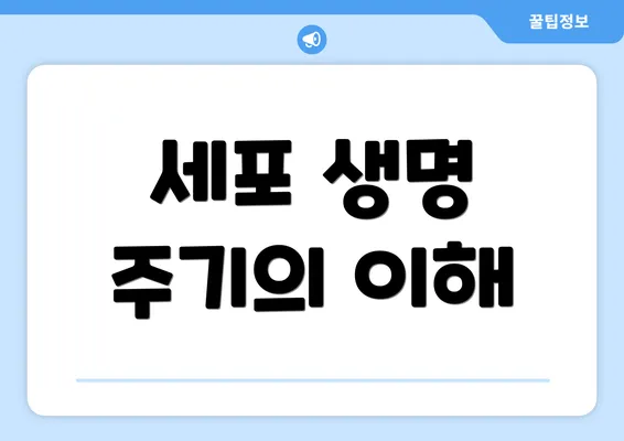 세포 생명 주기의 이해