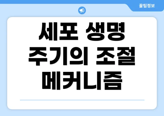 세포 생명 주기의 조절 메커니즘