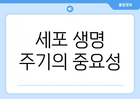 세포 생명 주기의 중요성