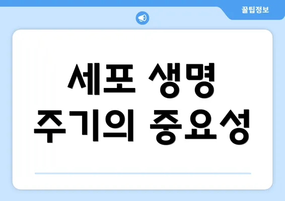 세포 생명 주기의 중요성