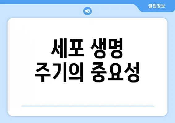 세포 생명 주기의 중요성