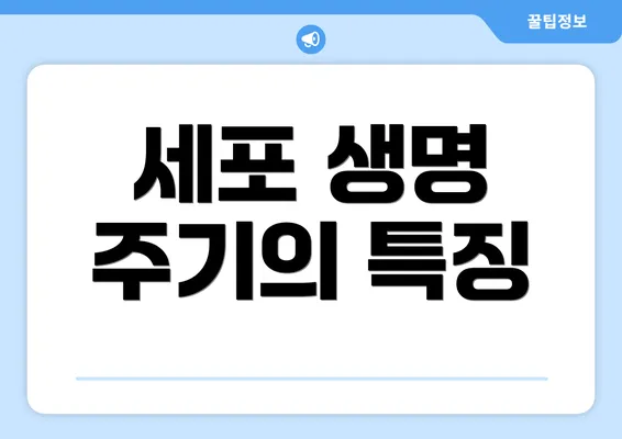 세포 생명 주기의 특징