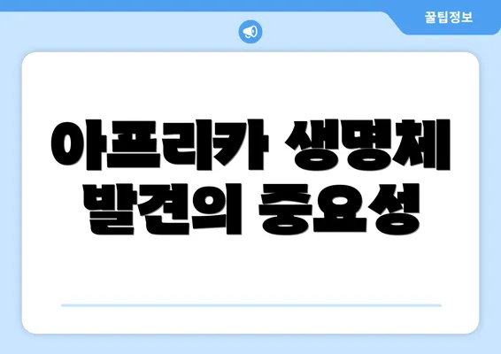 아프리카 생명체 발견의 중요성