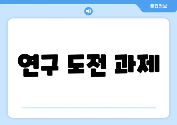 연구 도전 과제