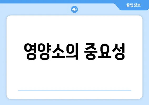 영양소의 중요성