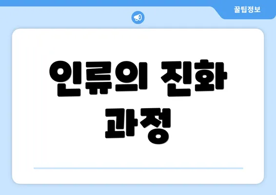 인류의 진화 과정