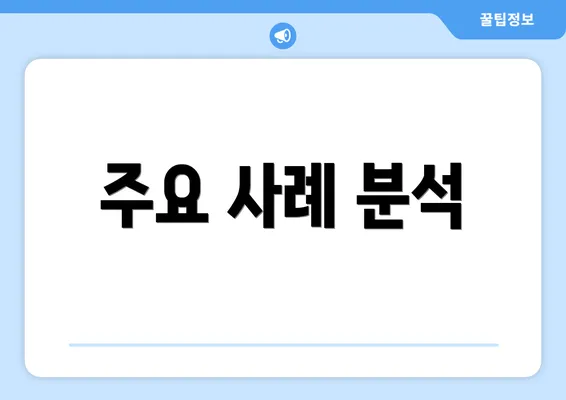 주요 사례 분석