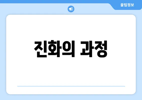 진화의 과정