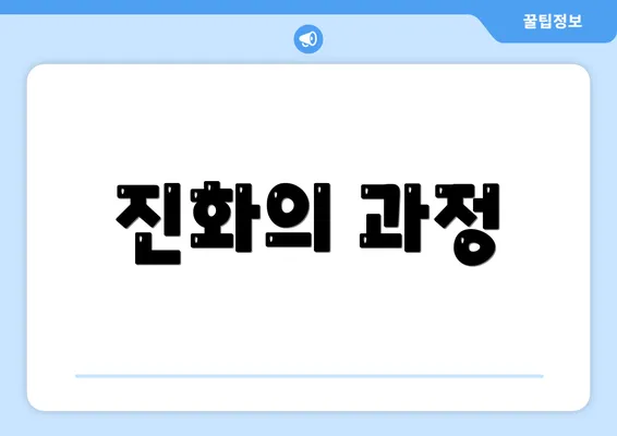 진화의 과정