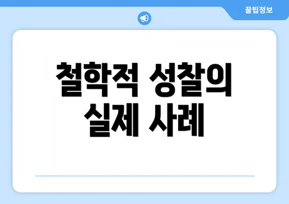 철학적 성찰의 실제 사례