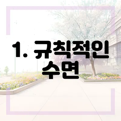 1. 규칙적인 수면