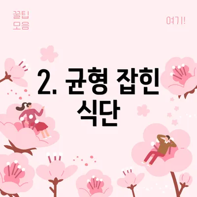2. 균형 잡힌 식단