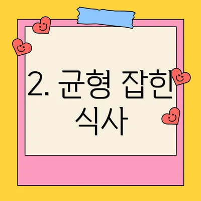 2. 균형 잡힌 식사
