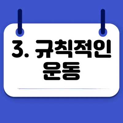 3. 규칙적인 운동