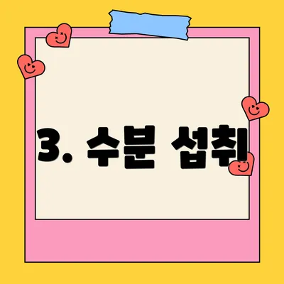3. 수분 섭취