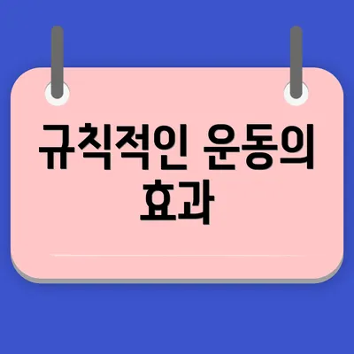 규칙적인 운동의 효과