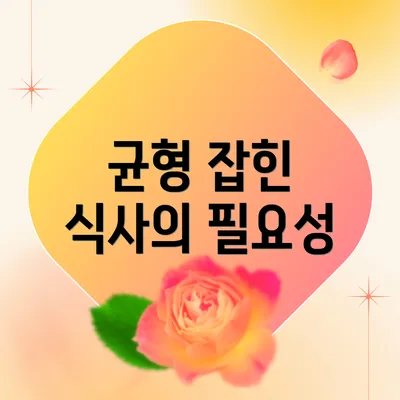 균형 잡힌 식사의 필요성