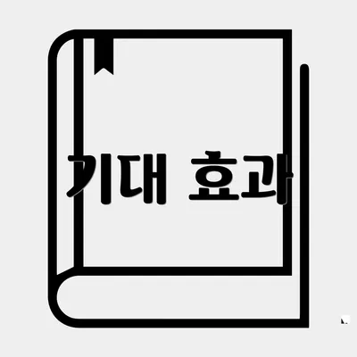 기대 효과