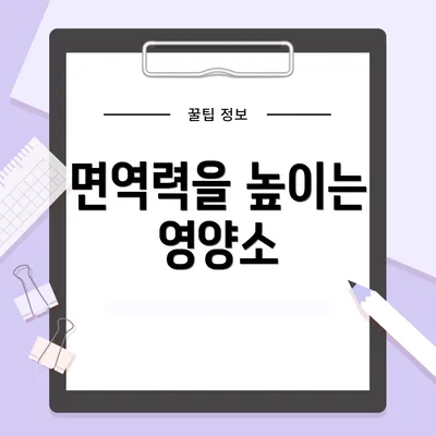 면역력을 높이는 영양소
