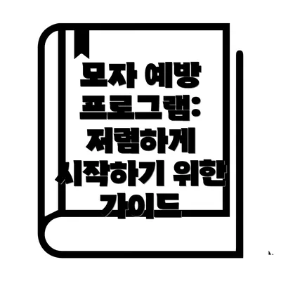 모자 예방 프로그램: 저렴하게 시작하기 위한 가이드