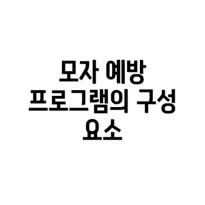모자 예방 프로그램의 구성 요소