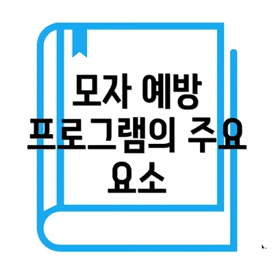 모자 예방 프로그램의 주요 요소