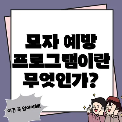 모자 예방 프로그램이란 무엇인가?